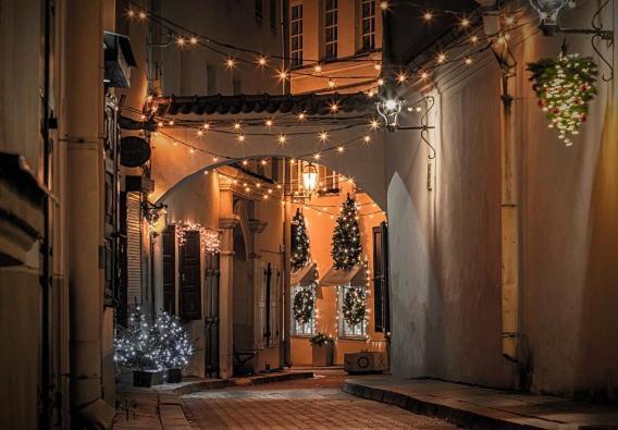 Exclusive Gaono Apartment In The Heart Of Old Town Vilnius Exterior foto